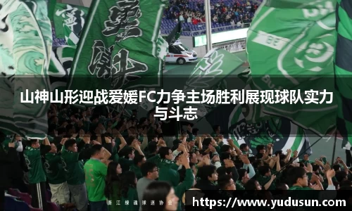 竞技宝山神山形迎战爱媛FC力争主场胜利展现球队实力与斗志